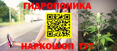 прущие крисы Конаково