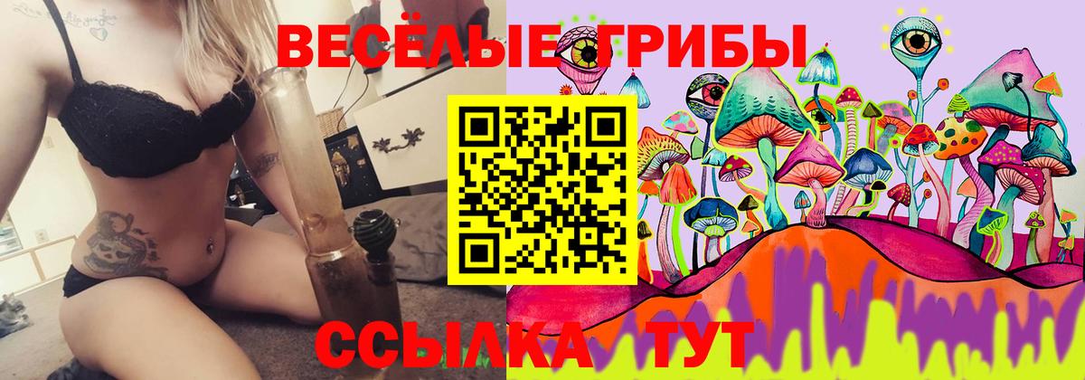 Псилоцибиновые грибы MAGIC MUSHROOMS Нарьян-Мар