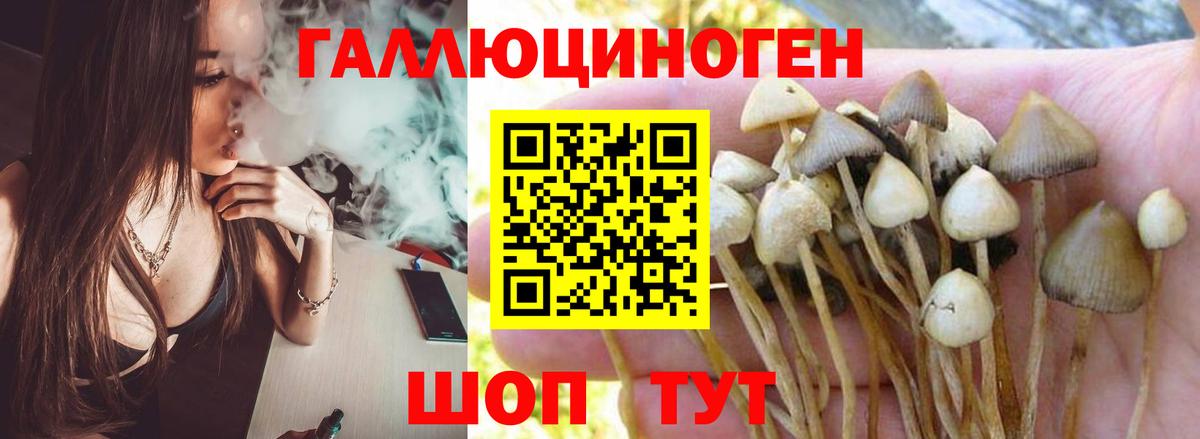 МЕТ  Каннабис  Вход с VPN  ГАШ  Нарьян-Мар  Cocaine  Меф МЯУ МЯУ  